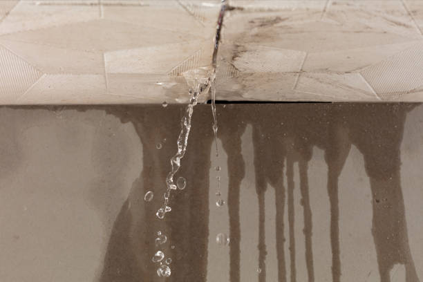 Professional Sewage Cleanup technician working in Bailey, TX